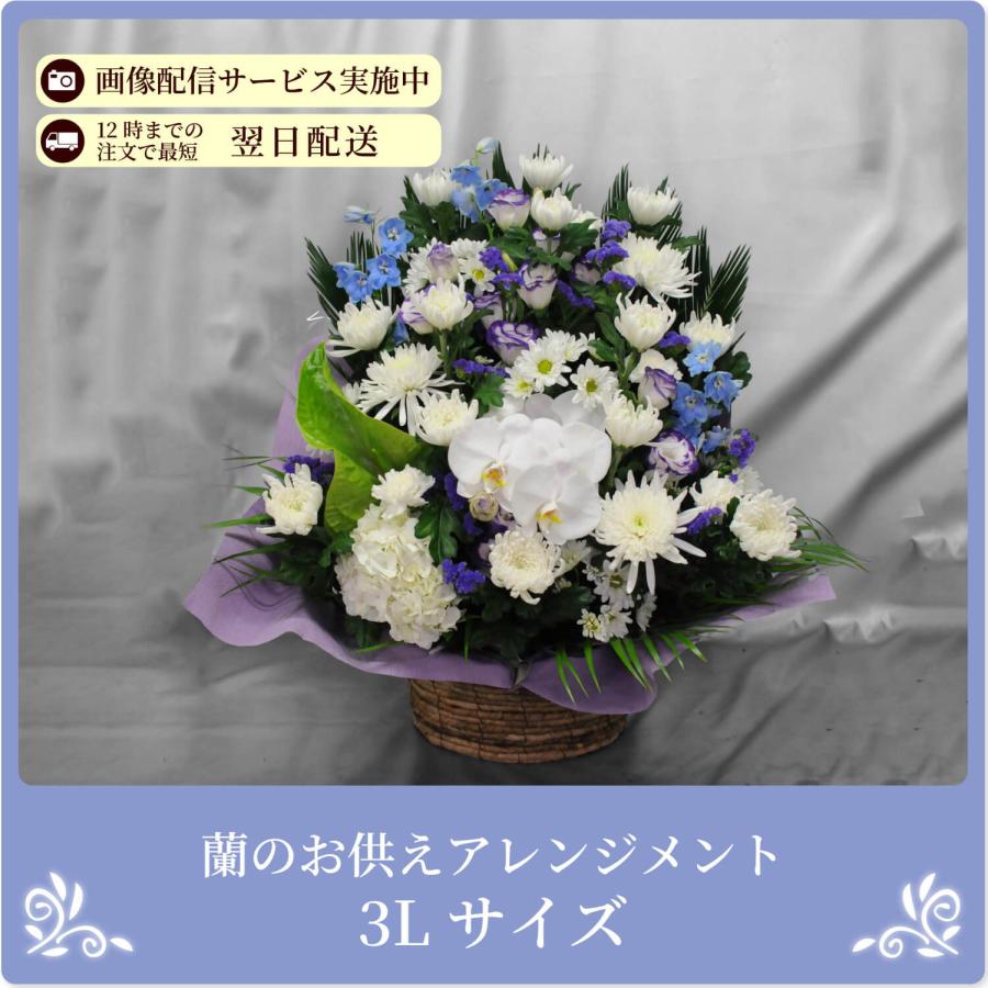 エーデルワイス花の贈り物 春のお彼岸 お供え 花 供花 仏壇 フラワー