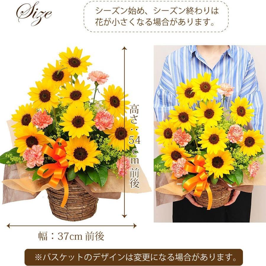 エーデルワイス花の贈り物 ひまわり 花 誕生日プレゼント フラワー