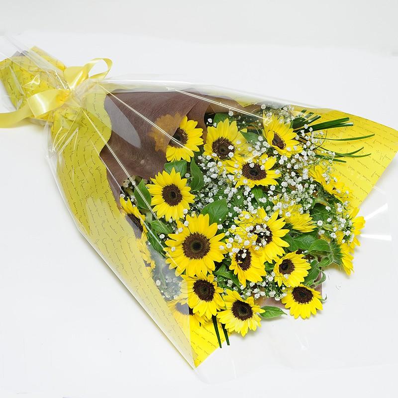 直営店 誕生日 プレゼント 花束 ギフト ひまわり 向日葵 退院祝い お見舞い 花 お中元 ヒマワリ ひまわりの花束 2Lサイズ 20本 ひまわり*向日葵*ドライフラワー*8本*夏のお花 無農薬栽培