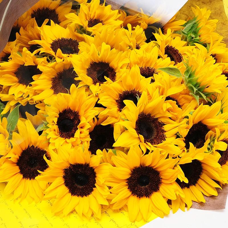 超特価SALE開催 父の日 花束 ギフト ひまわり 向日葵 誕生日花 退院祝い 花 お見舞い お中元ギフト ヒマワリ 50本の花束 casedintorni.it 超特価SALE開催 父の日 花束 ギフト ひまわり 向日葵 誕生日花 退院祝い 花 お見舞い お中元ギフト ヒマワリ 50本の花束 casedintorni.it