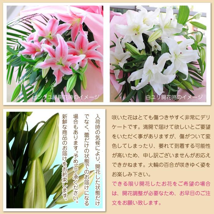 お彼岸花 １着でも送料無料 お彼岸 お供え 花 花束 誕生日 プレゼント ゆり 百合の花 白ユリの花束 供養 お悔やみ 30輪以上 大輪系 仏花