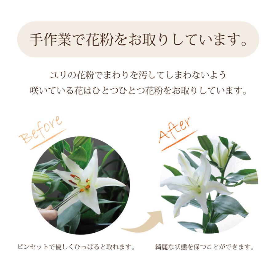 エーデルワイス花の贈り物 ユリの花 ギフト 誕生日 花束 プレゼント 