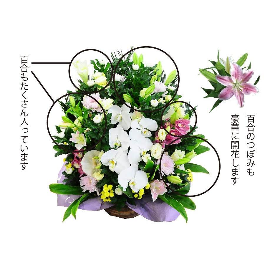エーデルワイス花の贈り物 春のお彼岸 お供え 花 贈る 供花 フラワー