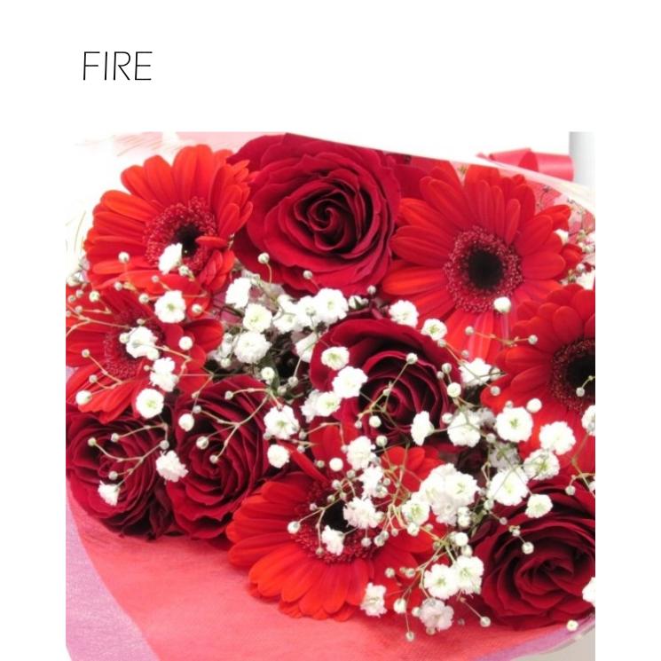送料無料 赤い薔薇とガーベラの花束 赤 Fire 誕生日プレゼント 彼女 彼氏 友達 記念日 Fire フラワーエキスプレス ヤフー店 通販 Yahoo ショッピング
