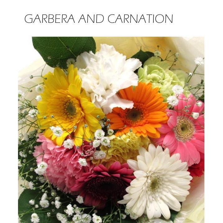 誕生日プレゼント 花 送料無料 花束 ガーベラのカラフルブーケ Mixed Color Garbera Bouq フラワーエキスプレス ヤフー店 通販 Yahoo ショッピング