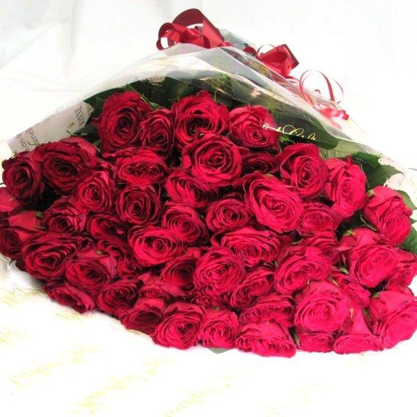 誕生日プレゼント 赤薔薇の花束 送料無料 ジャイガンティックレッド Redrose50 フラワーエキスプレス ヤフー店 通販 Yahoo ショッピング