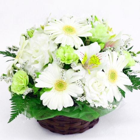 アイスクリーム バニラ アレンジ 花 フラワーギフト 送料無料 誕生日 宅配 R3s フラワーファーム ヤフー店 通販 Yahoo ショッピング