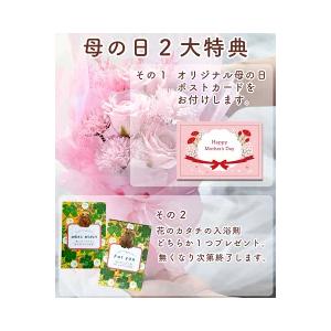 母の日 2026 ギフト 花 プレゼント アレンジメント 送料無料 カーネーション ソープ プリザーブド ブーケ 誕生日 お祝【ソープフラワーフローリッシュシャボン】 |  | 01