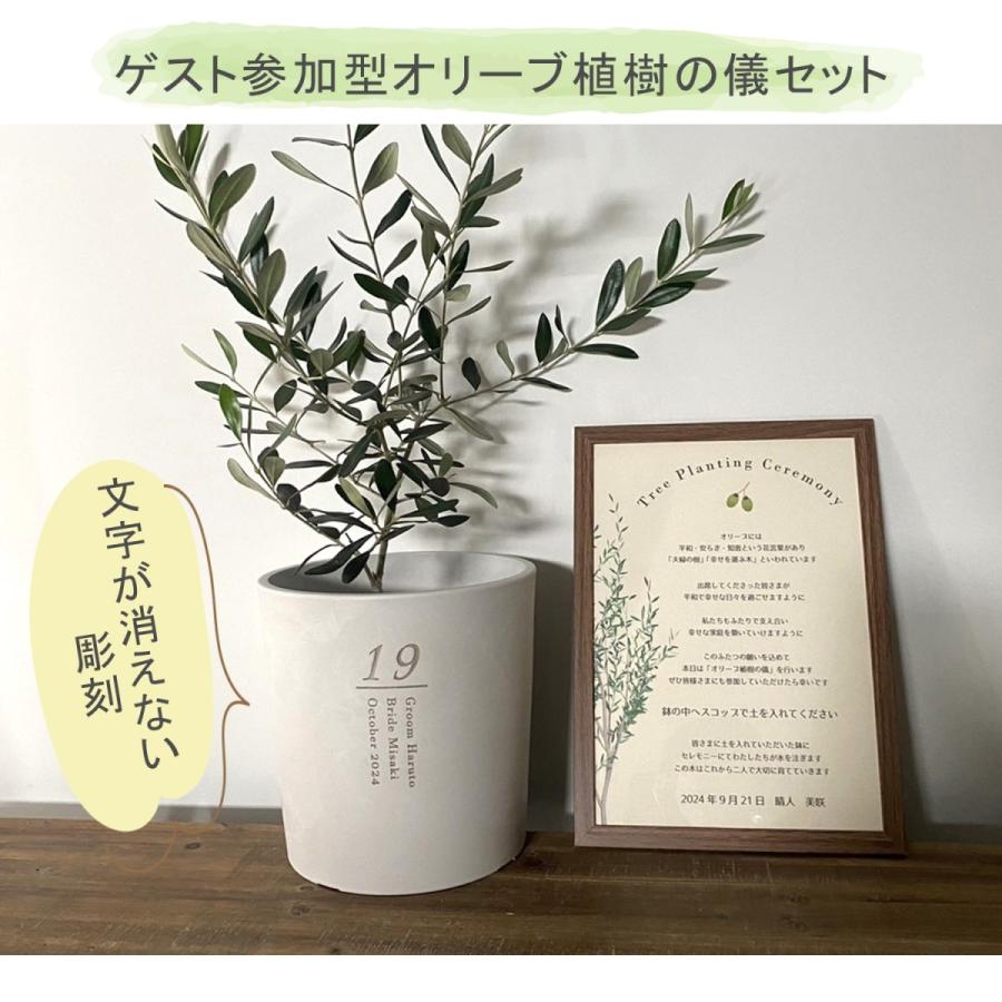 植樹の儀】送料無料// 結婚証明書 ゲスト参加型 植樹の儀 植樹