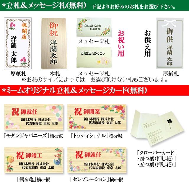 お中元 2022 ミニ胡蝶蘭 テーブル ギフト 1本立 小タイプ お祝い 開店 開業 開院 新築 移転 引越 誕生日 就任 退職 還暦 お悔やみ 公演・楽屋見舞い|flowergift-meme2|03