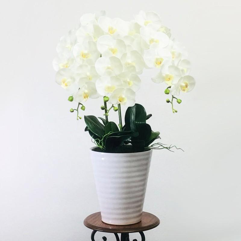 プレゼント 花 ギフト 造花 胡蝶蘭 高級人工造花 光触媒 アーティフィシャルフラワー Ct触媒 白 イエロー 3本立ち 3a46 Shinkiヤフーショップ 通販 Yahoo ショッピング