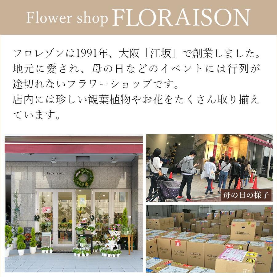 赤バラ 花束 100本 花 プレゼント 誕生日 プロポーズ 薔薇 ギフト 誕生日 還暦 お祝い 100歳｜flowershop-floraison｜07