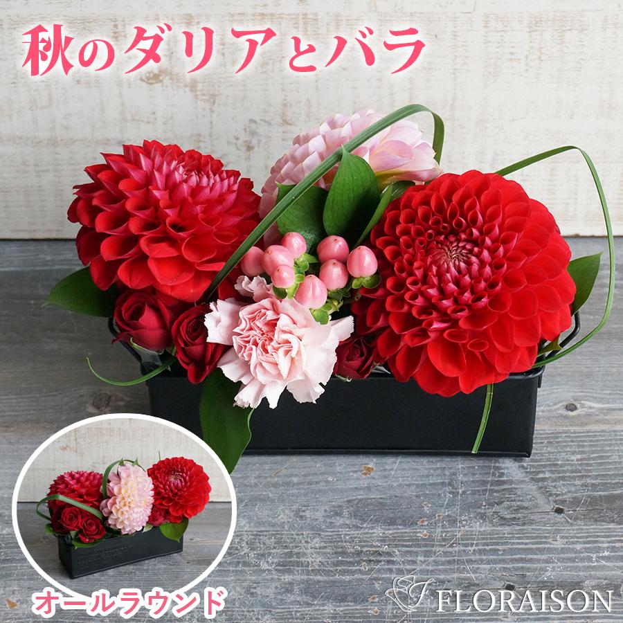 FLORAISON（フロレゾン） 記念日 花 生花 ダリア スクエア