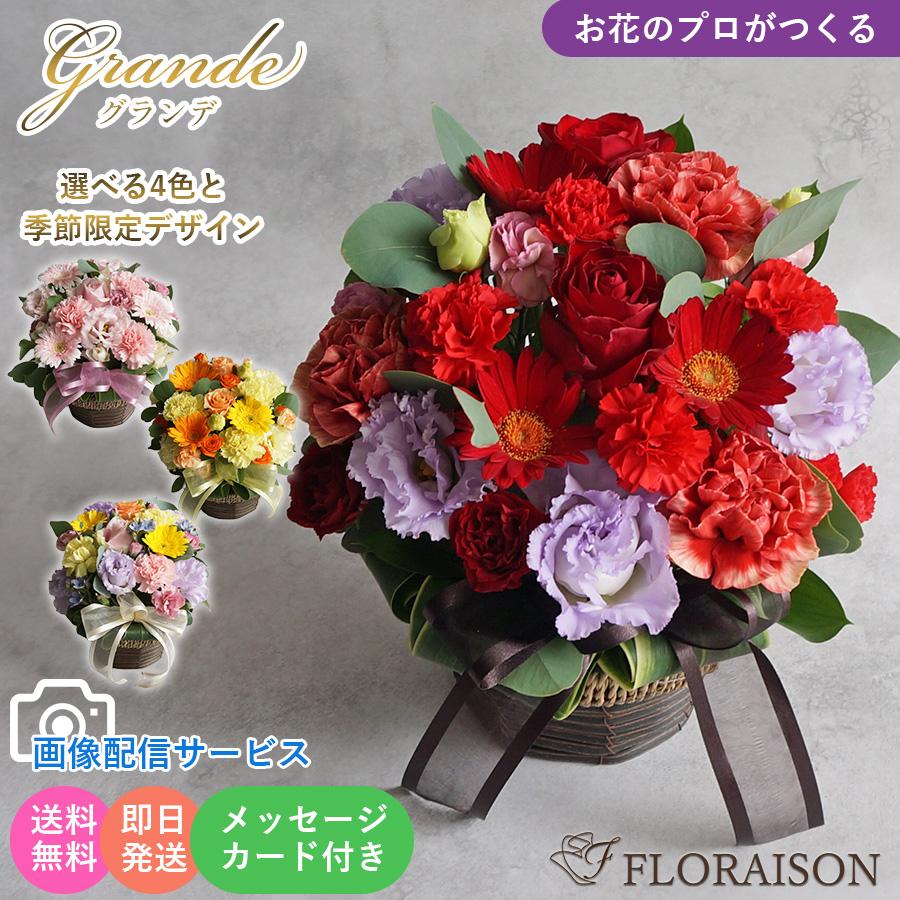 FLORAISON（フロレゾン） 新 記念日 花 生花 キュート アレンジメント