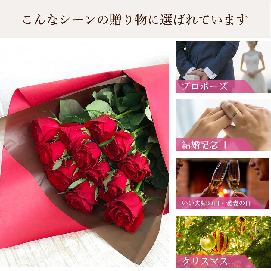 FLORAISON（フロレゾン） プロポーズ 花 記念日 バラ 花束 12本 ダズン