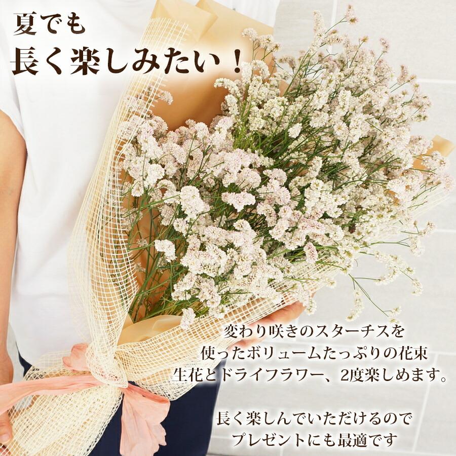 FLORAISON（フロレゾン） 記念日 花 ドライフラワーになる