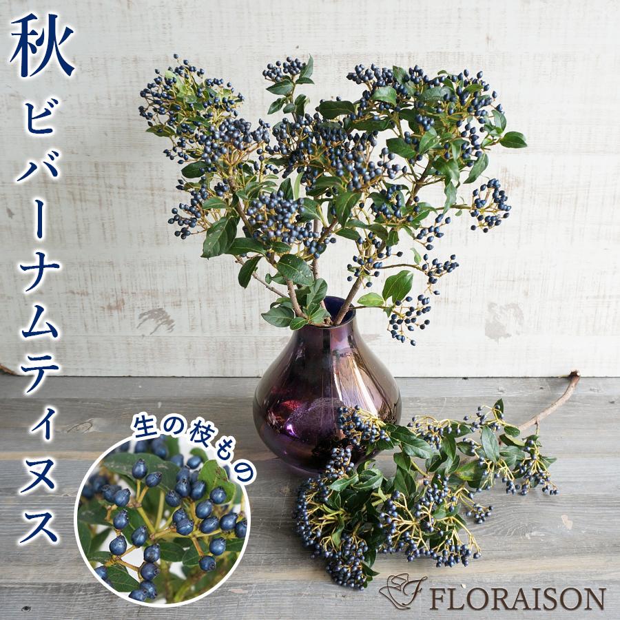 FLORAISON（フロレゾン） 季節 飾り 玄関 ビバーナムティヌス ティナス