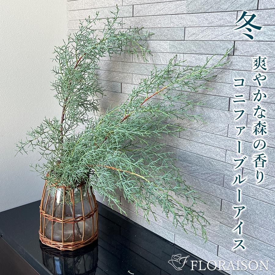 FLORAISON（フロレゾン） 季節 飾り 玄関 コニファー ブルーアイス 冬