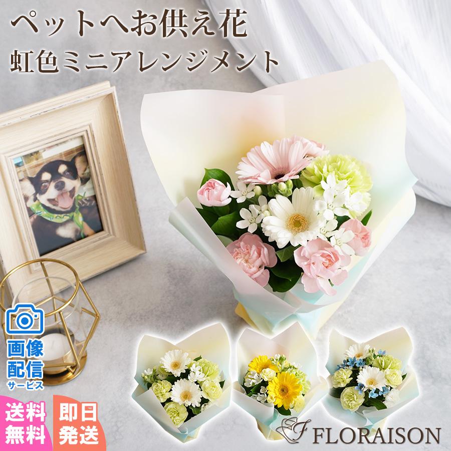 ペット お供え物 花 仏壇 遺影 お悔み花 お供え お墓 虹色ミニ 