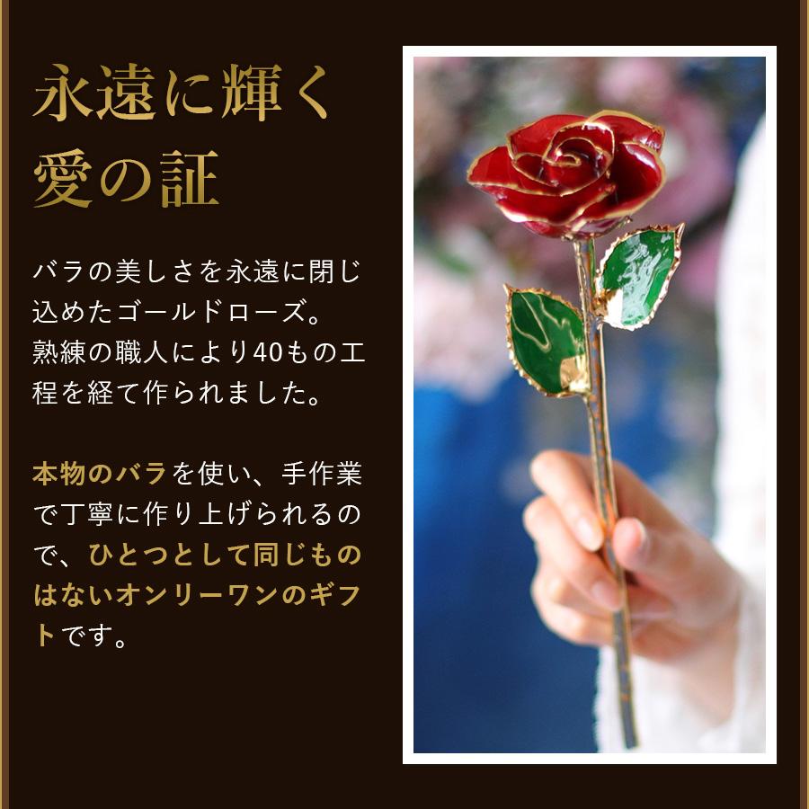 FLORAISON（フロレゾン） 赤バラ プロポーズ 花束 12本 赤いバラの花束