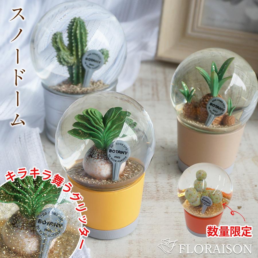 スノーボール ウォーターグローブ ミニチュア 多肉植物 サボテン 観葉