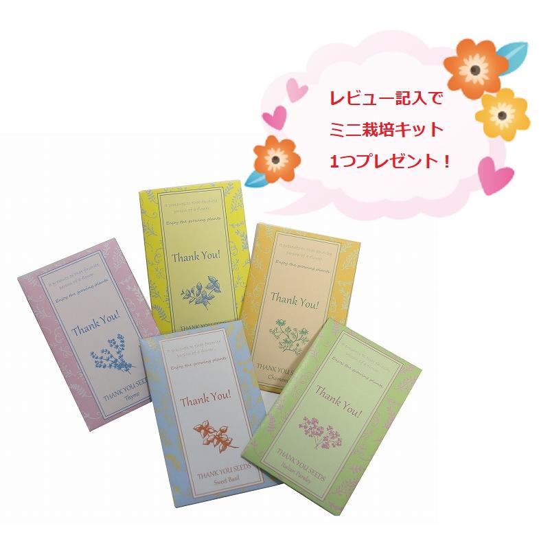 プレーリードッグ エコバッグ 【Giraffe】 大容量 2WAY 折りたたみ マチ付き ショッピングバッッグ  おしゃれ 可愛い メール便無料 |  | 09