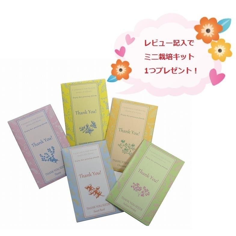 プレーリードッグ ディズニー エコバッグ 【Dogs】 大容量 2WAY 折りたたみ ショッピングバッグ おしゃれ 可愛い メール便無料 |  | 06