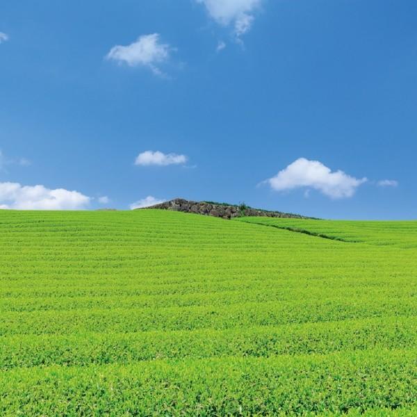 浪速茶業 産地銘茶 詰合せ WR-100 ギフト プレゼント 贈り物 贈答 包装 熨斗 のし 無料 【Aギフト】 |  | 01