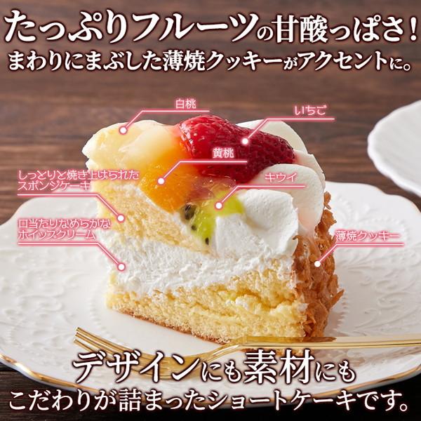 売れ筋 色とりどりのフルーツ たっぷりトッピング フルーツ ショートケーキ Sweet 冷凍