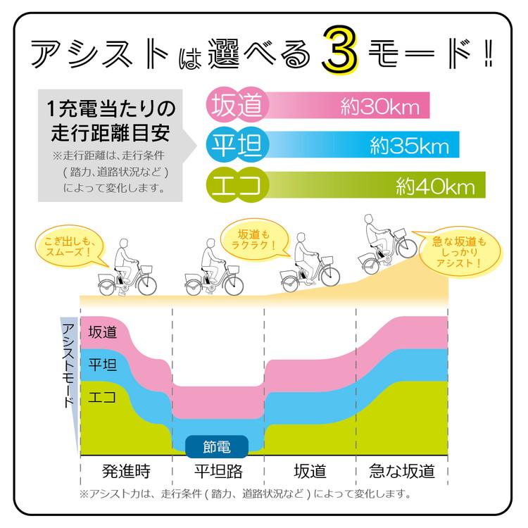 ACTIVE PLUS ノーパンク 電動アシスト FDB20EB 20インチ ブラック｜flppr｜12