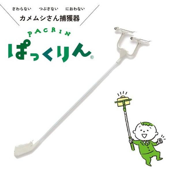 カメムシ対策 駆除 駆除方法 家 窓 車 粘着シート PACRIN ぱっくりん 本体 | ブランド登録なし