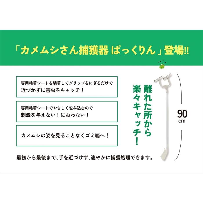 カメムシ対策 駆除 駆除方法 家 窓 車 粘着シート PACRIN ぱっくりん 本体 | ブランド登録なし | 02