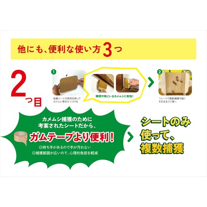 カメムシ対策 駆除 駆除方法 家 窓 車 粘着シート PACRIN ぱっくりん 本体 | ブランド登録なし | 06