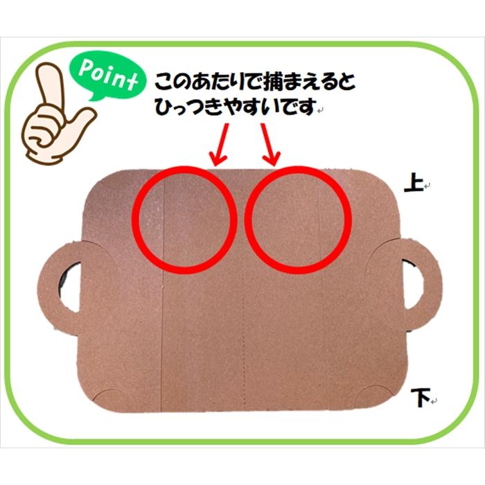 カメムシ対策 駆除 駆除方法 家 窓 車 粘着シート PACRIN ぱっくりん 本体 | ブランド登録なし | 08