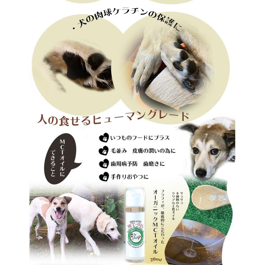 犬用 Mctオイル3本セット 60ml ペット用 有機オーガニック ココナッツオイル 栄養補給 サプリメント お手入れ ボディケア Sale Et44pfx3 ずっと元気 犬 猫のための Fluffi 通販 Yahoo ショッピング