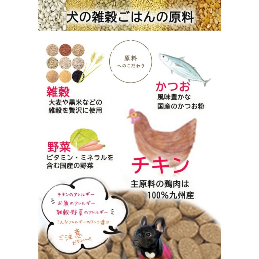 アニマル・ワン シニア用ドッグフード 無添加 国産 犬の雑穀ごはん