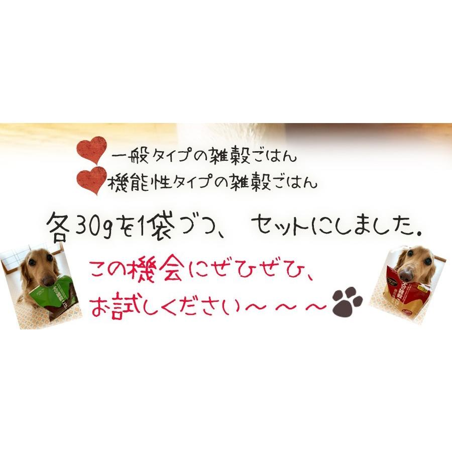ドッグフード 無添加 国産 犬の雑穀ごはん と 機能性雑穀ごはん お試しセット ペットフード30gx2種類 アニマル ワン アレルギー対応 T56ps501 ずっと元気 犬 猫のための Fluffi 通販 Yahoo ショッピング