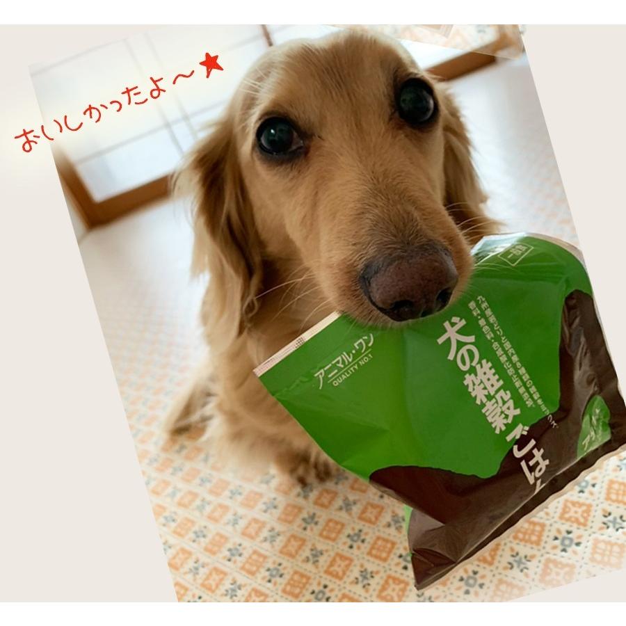 ドッグフード 無添加 国産 犬の雑穀ごはん と 機能性雑穀ごはん お試しセット ペットフード30gx2種類 アニマル ワン アレルギー対応 T56ps501 ずっと元気 犬 猫のための Fluffi 通販 Yahoo ショッピング