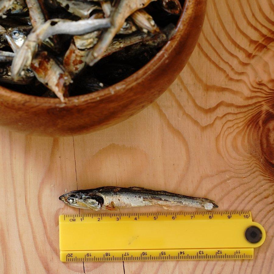 無塩 無添加 犬用猫用煮干し 150g1袋 国産おやつ小袋 ドッグフード