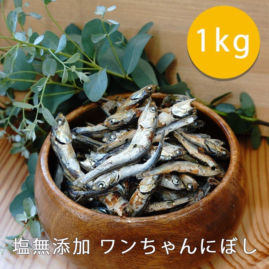 無塩 犬用猫用煮干し1KgX5袋 業務用ペットフードおやつ 無添加
