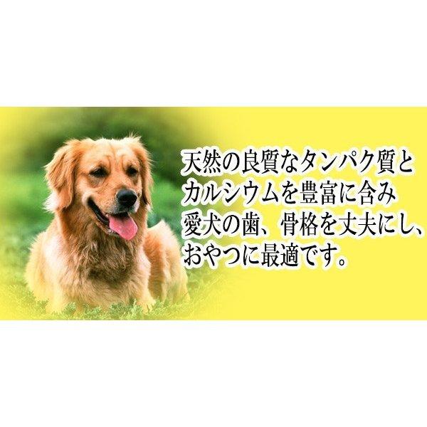 無塩 犬用猫用煮干し1KgX5袋 業務用ペットフードおやつ 無添加