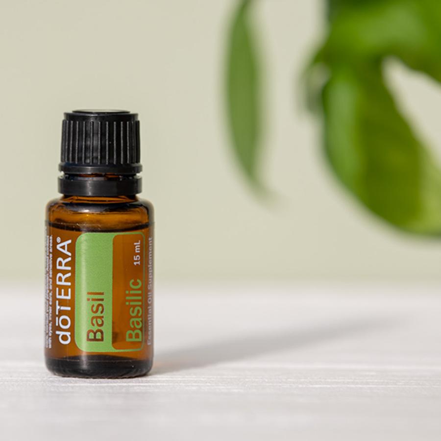 MAPLE Fujiya』メープル不二屋 ライディングビューロー RWwri1 doTERRA 