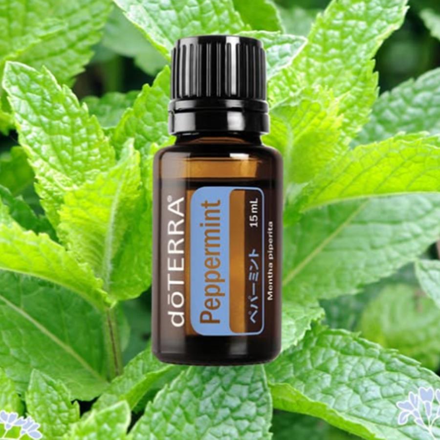【新品未開封】ドテラ doTERRA ペパーミント Peppermint 4本 doTERRA（ドテラ） ペパーミント peppermint 15mL 正規品 1本
