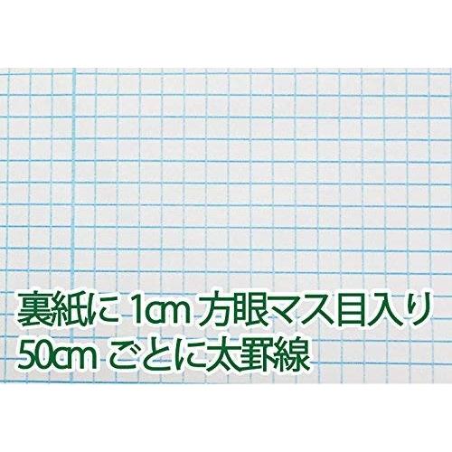 グリーンウィーク 半透明 壁の傷 Fluffy 汚れ防止 半透明 壁紙保護シート 粘着タイプ 90cm 5m Fluffy 爪とぎ Mane