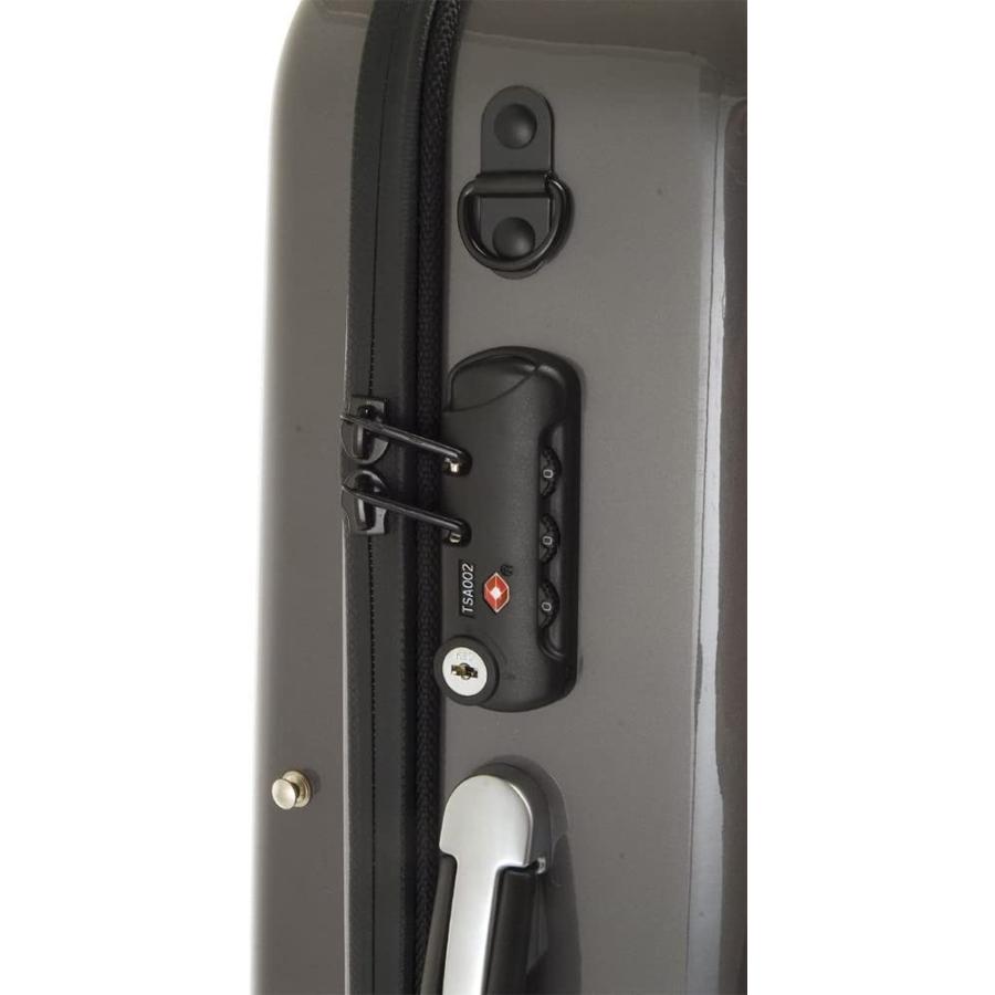 数量は多 Gl ソプラノサックスケース Glk S S グレー 楽天 Frogxx Com