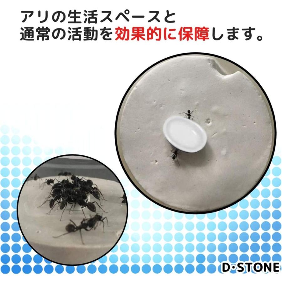 D・STONE 蟻 飼育 観察 キット 1個 セット アリの巣 自由研究 昆虫 石膏 ケース アリ 無 巣 餌入れ 石膏製 巣箱 円柱