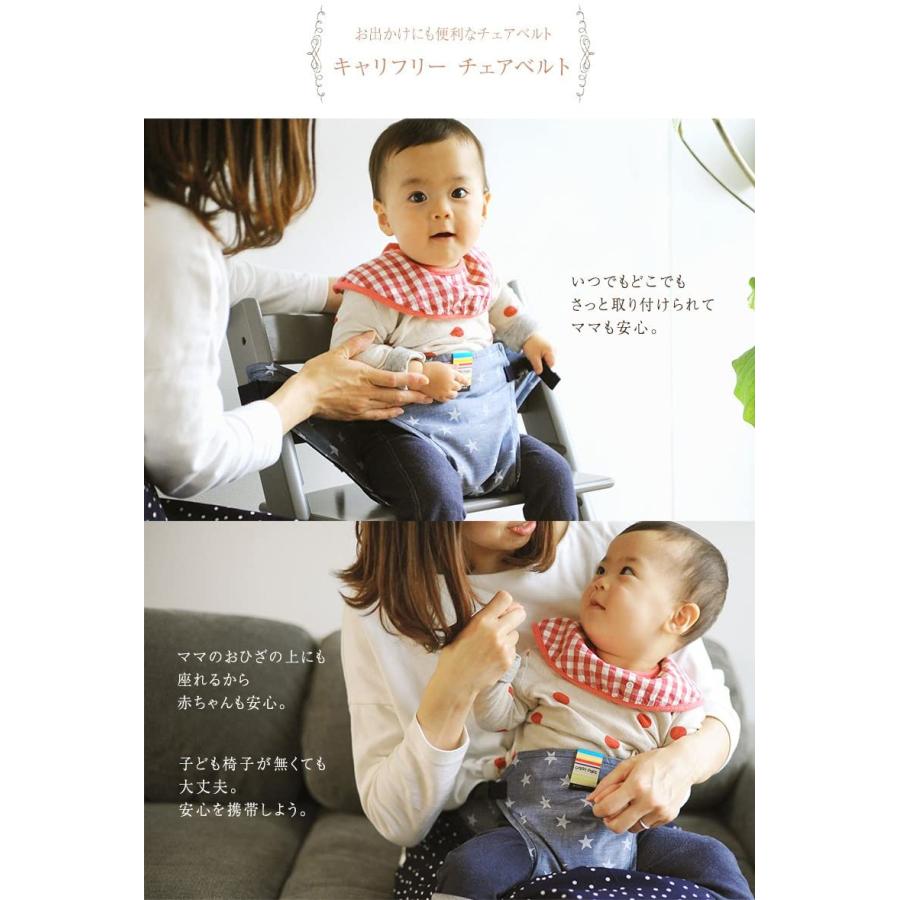 日本エイテックス 日本正規品 キャリフリー 01 069 パープル 限定品 チェアベルト