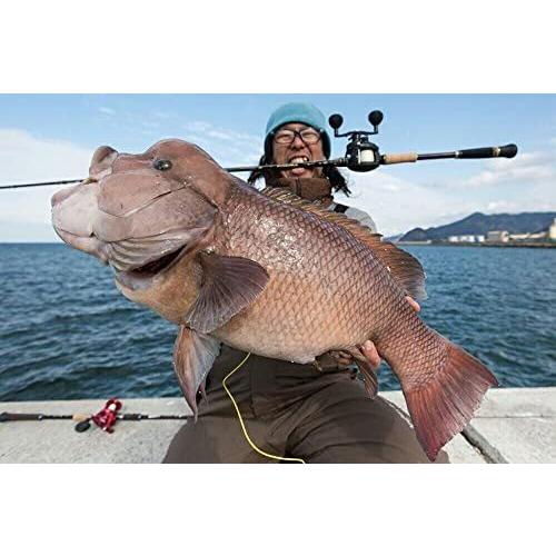 アブガルシア Abu Garcia ルアーロッド ベイト ワールドモンスター Wmc 705l 怪魚 パックロッド 5ピース ナマズ Fluffy Mane 通販 Yahoo ショッピング