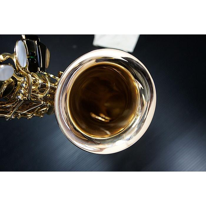 ほぼ未使用の美品 フェスティ tiaraA アルトサックス ブロンズブラス管