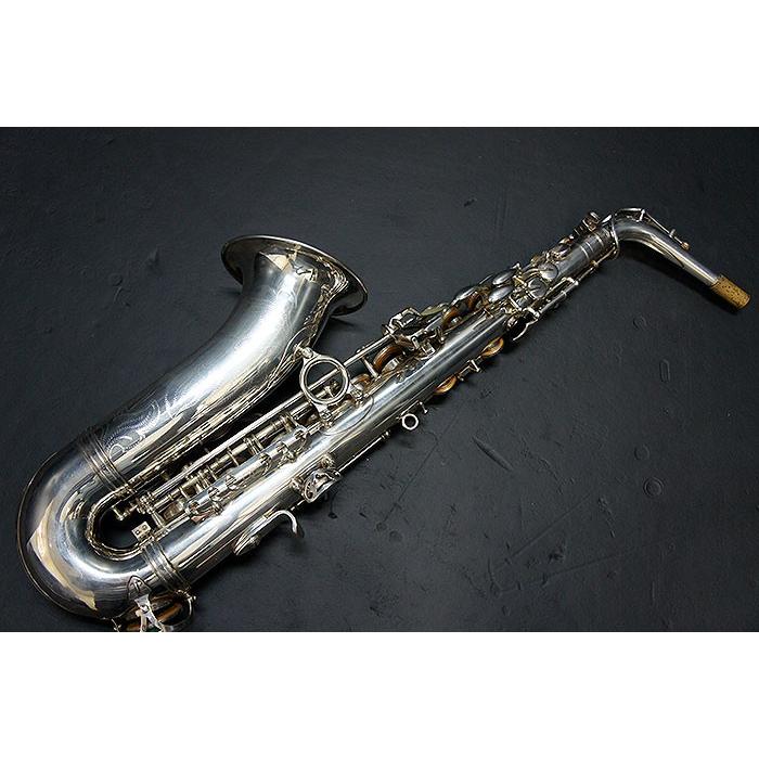 デイヴ・ガーデラ シルバープレート Dave Gardera DG400SP